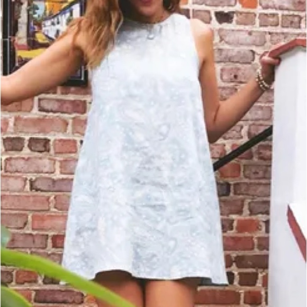 Tobi mini swing blue dress in paisley size XS